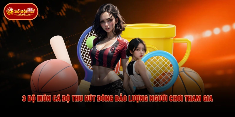 3 bộ môn cá độ thu hút đông đảo lượng người chơi tham gia