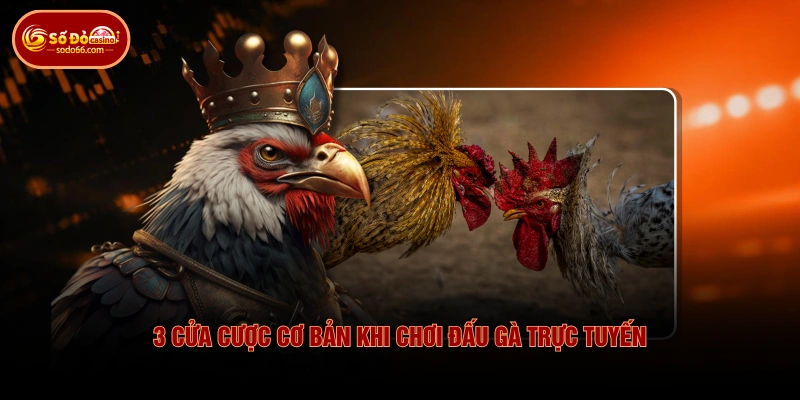 3 cửa cược cơ bản khi chơi đấu gà trực tuyến