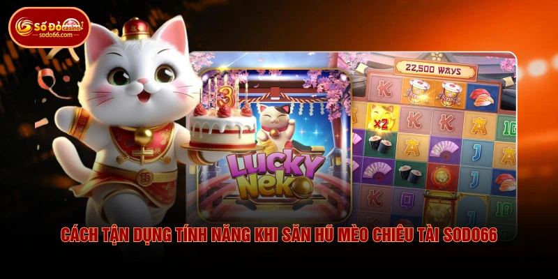 Cách tận dụng tính năng khi săn hũ mèo chiêu tài SODO66 