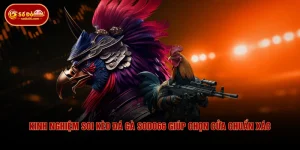 Kinh Nghiệm Soi Kèo Đá Gà SODO66 Giúp Chọn Cửa Chuẩn Xác